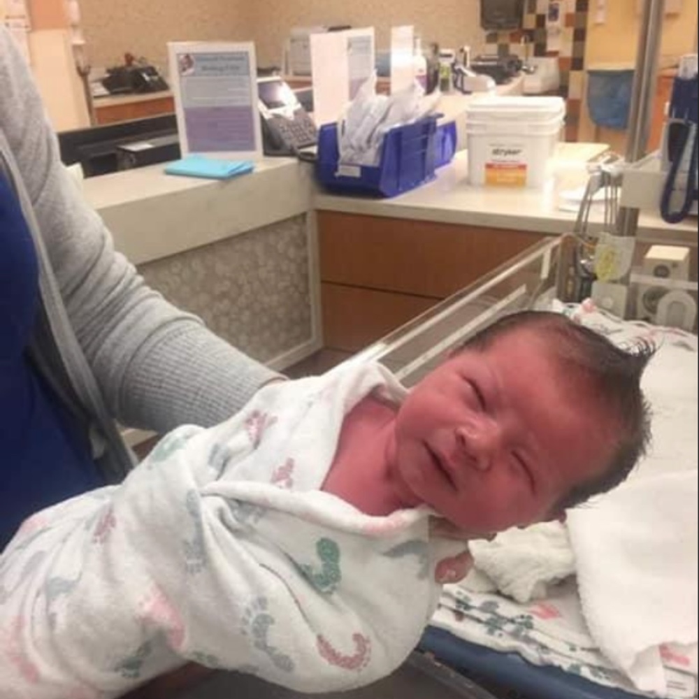 Meet your Posher, Dakota